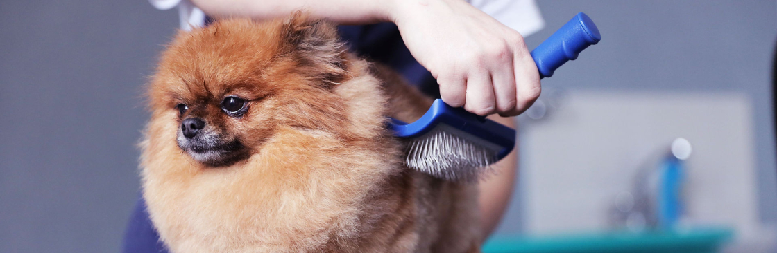 Woof Society Cover Image