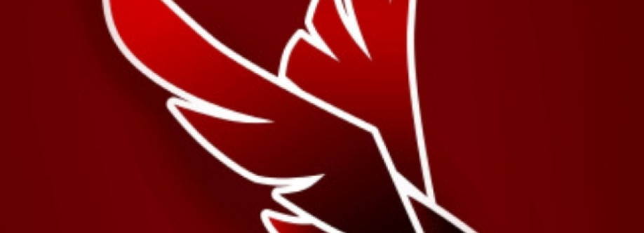 Phoenix Project Cover Image