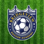 bridgeviewsoccer Profile Picture