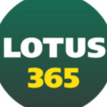 Lotus365 Id Profile Picture