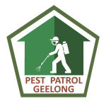 Pest Patrol Geelong Profile Picture