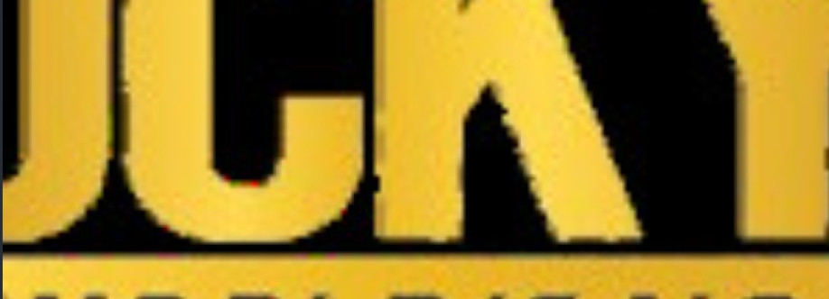 Rocky Book Cover Image