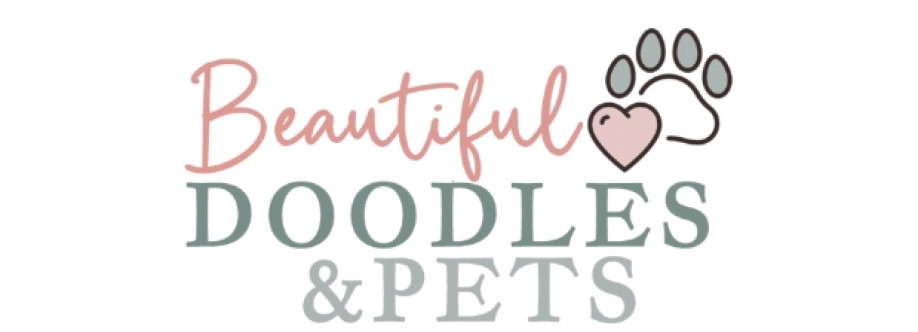 Beautiful Doodles Cover Image