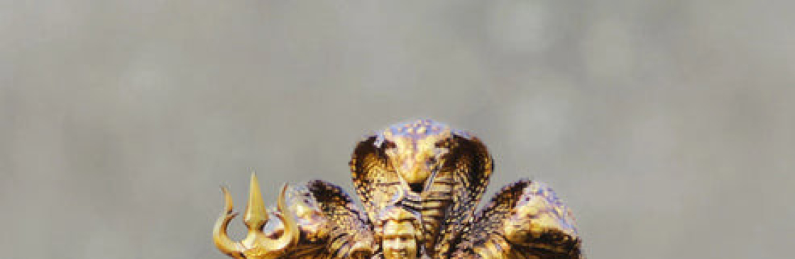 Lord Shiva idols Cover Image