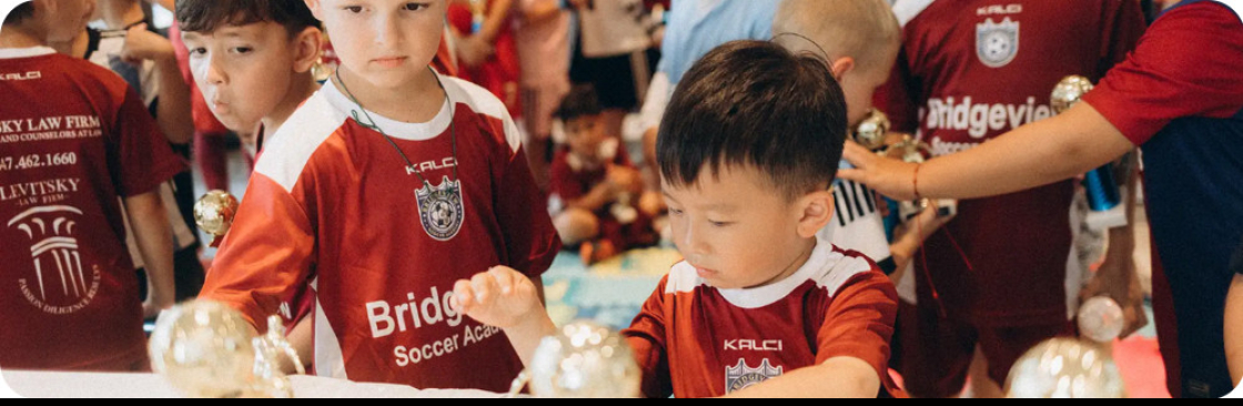 bridgeviewsoccer Cover Image