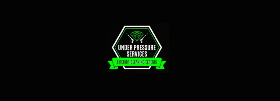 Under Pressure Services LTD Cover Image