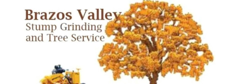 Brazos Valley Stump Grinding and Tree Service Cover Image