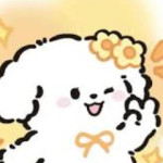 chinahai Profile Picture
