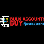 Bulk Buy Accounts Profile Picture