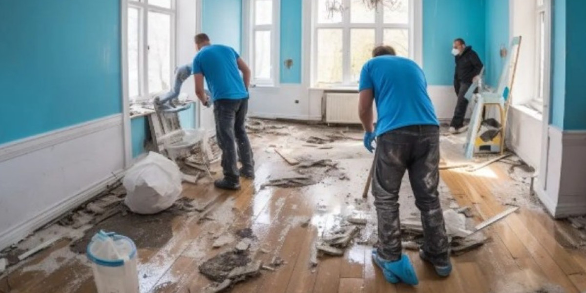 How Fast Does Mold Grow After Water Damage in Washington DC Homes? A Timeline Homeowners Should Know