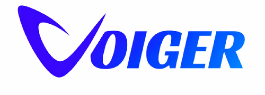 Voiger Voice Voice Cover Image