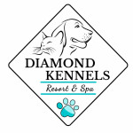 Diamond Kennels Profile Picture