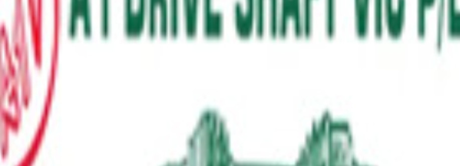 A1 Drive Shafts Cover Image