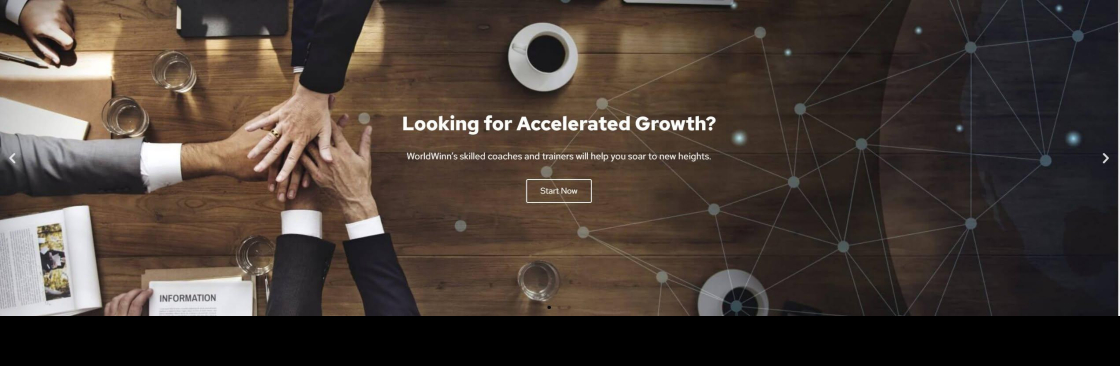 WorldWinn Consulting Cover Image