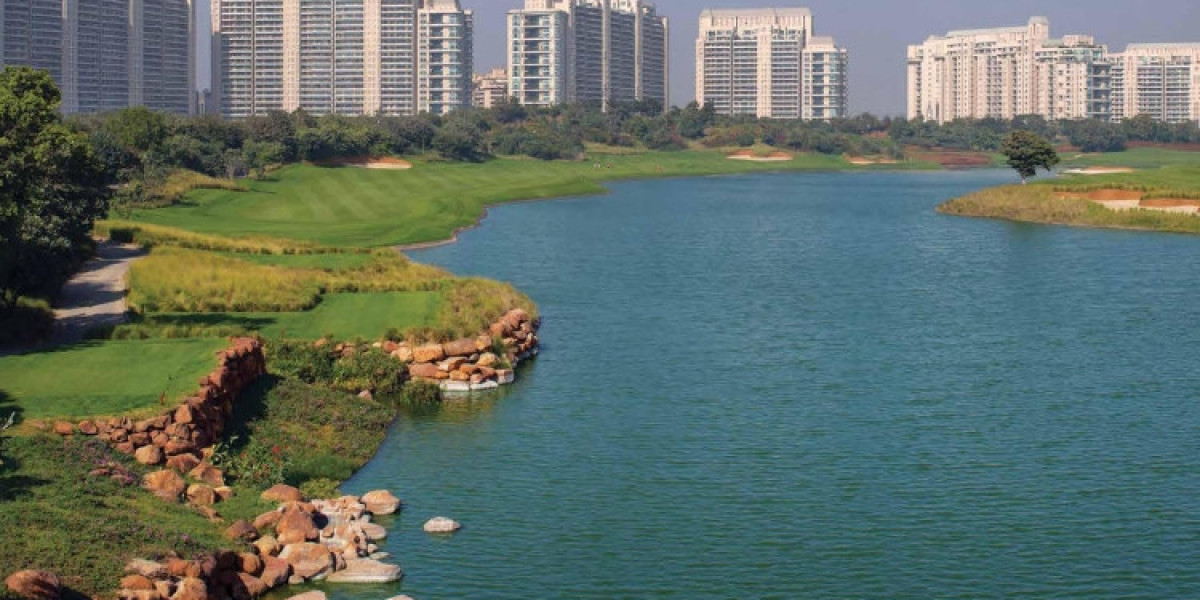 Location Dynamics and Micro-Market Dominance of DLF The Camellias