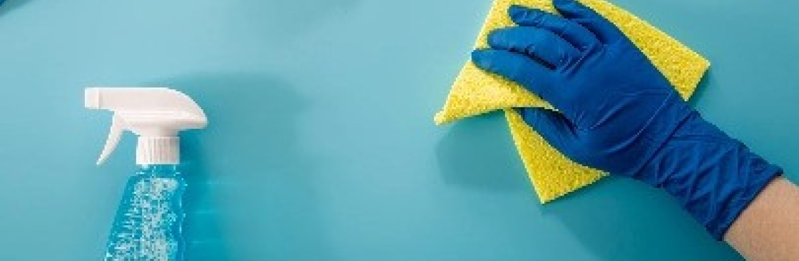 Reynas Maid Service Cover Image