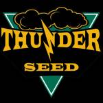 Thunder Seed Profile Picture