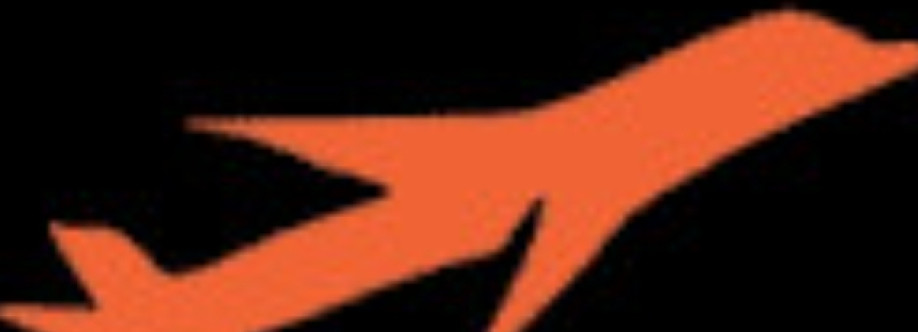 Cambridge Transfers Transfers Cover Image