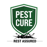 Pest cure Profile Picture