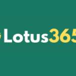 Lotus365 Profile Picture