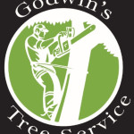 Godwins Tree Service Profile Picture