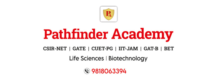 Pathfinder Academy Cover Image