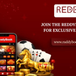 Reddy Book Profile Picture