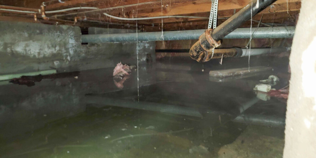 Water Removal Services: A Guide for Property Owners