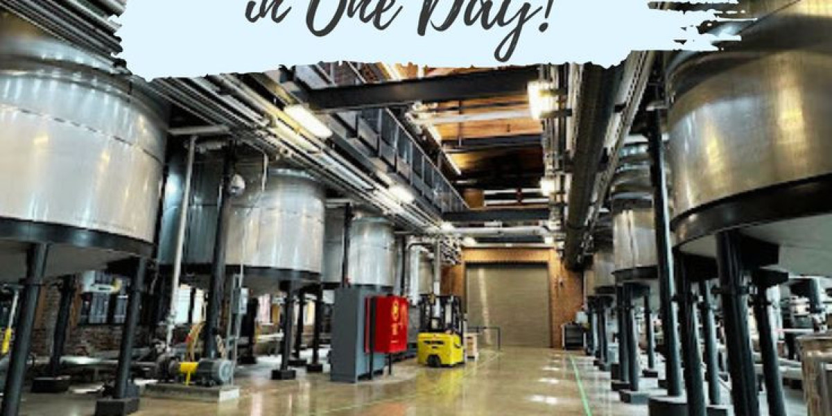 Bourbon Tours Kentucky: A Complete Guide to Distillery Tours and Tastings