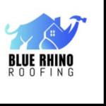 Blue Rhino Roofing Profile Picture
