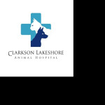 Clarkson Lakeshore Profile Picture