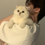 Feishengya Profile Picture