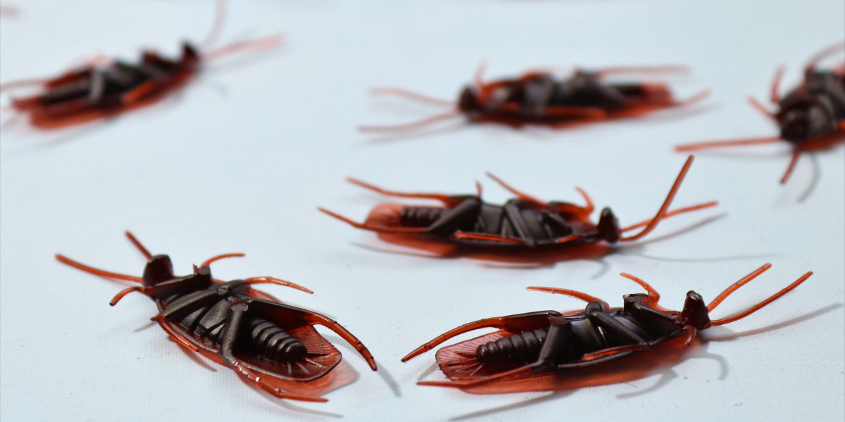 Improve Your Sleeping Experience After Opting for an Expert Bed Bug Exterminator in Bakersfield