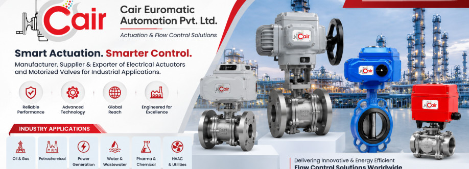 cair euromatic Cover Image