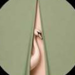 sneaknerinas sneaknerinas Profile Picture